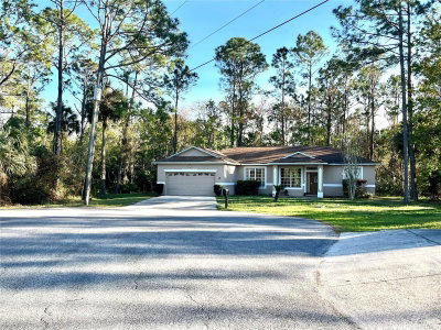 14 SQUASH BLOSSOM Court, Palm Coast, FL, 32164 — photo 2