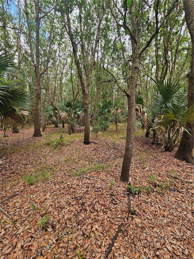601 HOWARD Avenue, Oviedo, FL, 32765 — photo 2