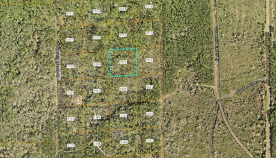 LAKE HARNEY Road, Osteen, FL, 32764 — photo 2