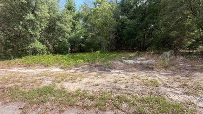GUAVA LANE Place, Ocklawaha, FL, 32179 — photo 2