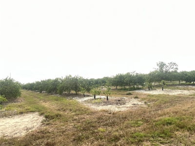 NE HWY 70, Arcadia, FL, 34266 — photo 2