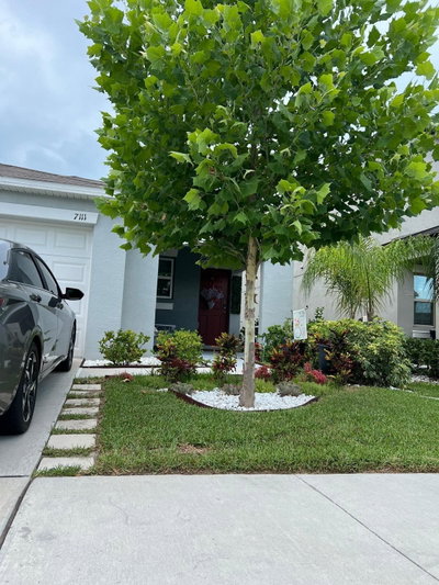 7111 AMELIA COVE Court, Sun City Center, FL, 33573 — photo 2
