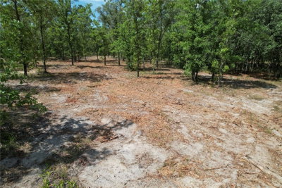 53RD Lane, Morriston, FL, 32668 — photo 2