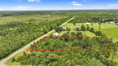 OLD PANAMA Highway, Wewahitchka, FL, 32465 — photo 2