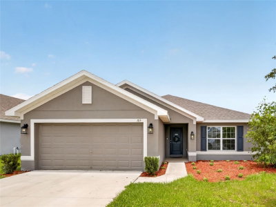 1113 CITRUS LANDINGS Boulevard, Davenport, FL, 33837 — photo 2