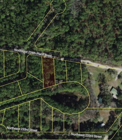 234TH PLACE Road, Fort Mc Coy, FL, 32134 — photo 2