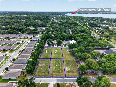 FEARON AVE & E 19TH AVE Avenue, Mount Dora, FL, 32757 — photo 2