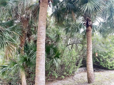 ARLEY Road, North Port, FL, 34288 — photo 2