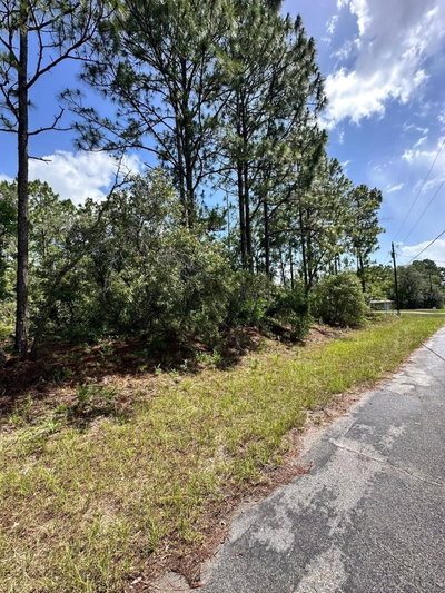 7398 VERONICA Drive, Dunnellon, FL, 34433 — photo 2