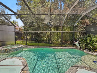 816 RUNNER OAK Street, Celebration, FL, 34747 — photo 2