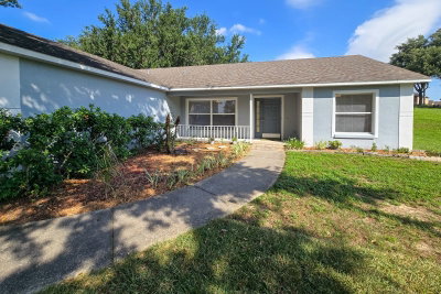 10417 LAKE HASSON Circle, Clermont, FL, 34711 — photo 2