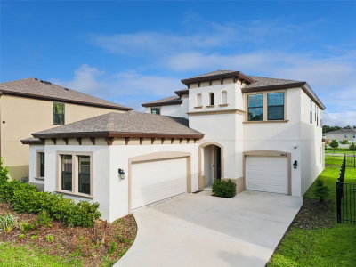 14825 PADDOCK POND Avenue, Lithia, FL, 33547 — photo 2