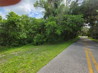 180 OAK Drive, Osteen, FL, 32764 — photo 2