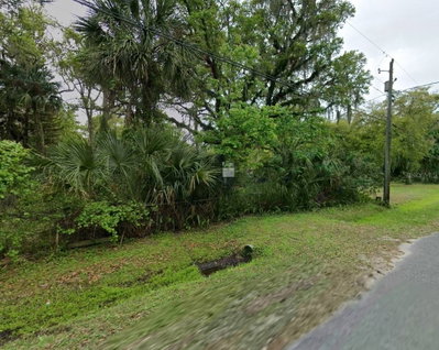 25232 BARTHOLOMEW Street, Christmas, FL, 32709 — photo 2