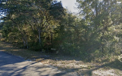 FISHER LANE Place, Ocklawaha, FL, 32179 — photo 2