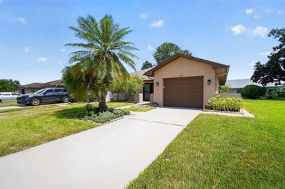 3284 GORSE Court, Palm Harbor, FL, 34684 — photo 2