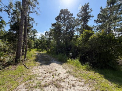 1842 SWEETWATER Bend, Deltona, FL, 32738 — photo 2