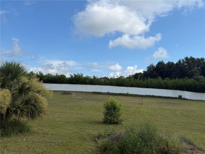 NORTH BLVD W, Davenport, FL, 33837 — photo 2