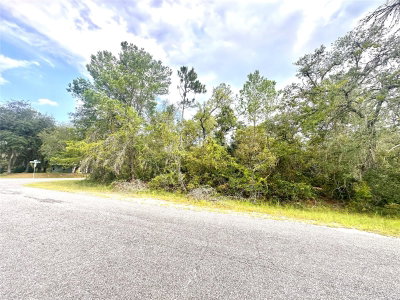 SAFFRON Avenue, Eustis, FL, 32736 — photo 2