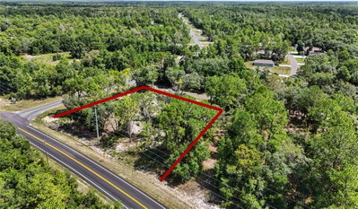 3 BAY Drive, Ocklawaha, FL, 32179 — photo 2