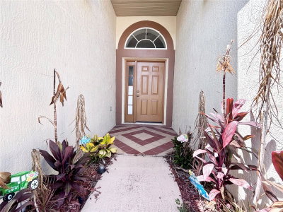 15937 WILKINSON Drive, Clermont, FL, 34714 — photo 2