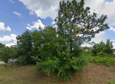 JUNIPER PASS, Ocala, FL, 34480 — photo 2