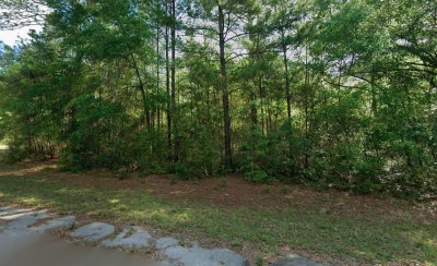 8961 CONCH Terrace, Dunnellon, FL, 34434 — photo 2