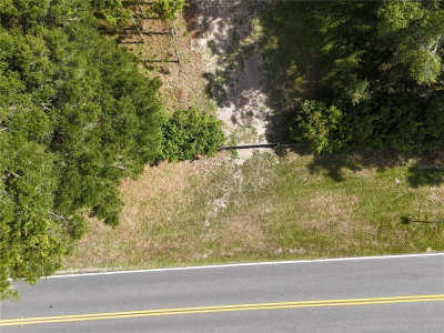 00 E COUNTY ROAD 44A, Eustis, FL, 32726 — photo 2