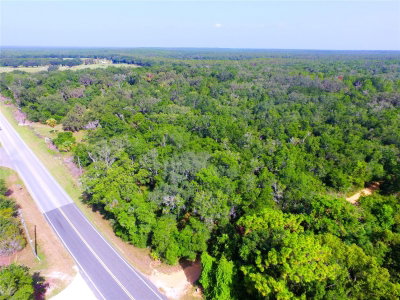 24601 HIGHWAY 42, Umatilla, FL, 32784 — photo 2