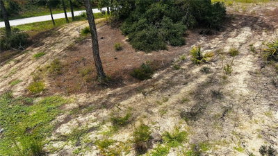 486 DREAMLAND Drive, Lake Placid, FL, 33852 — photo 2