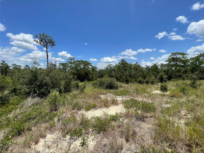 1340 HOMOSASSA Court, Kissimmee, FL, 34759 — photo 2