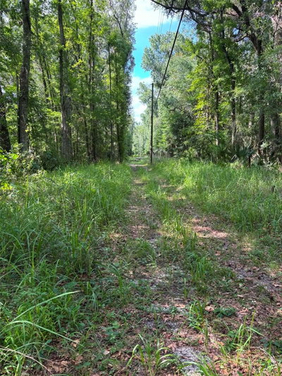 12168 PONCE DE LEON Boulevard, Brooksville, FL, 34601 — photo 2