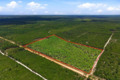 LOT 70 MAGGIE JONES ROAD Road, Eustis, FL, 32736 — photo 2