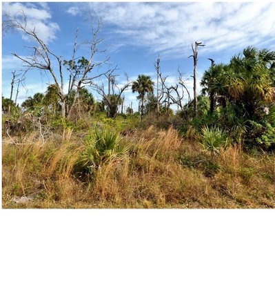 MENZLER Street, North Port, FL, 34288 — photo 2