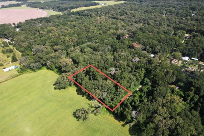 73RD Terrace, Trenton, FL, 32693 — photo 2