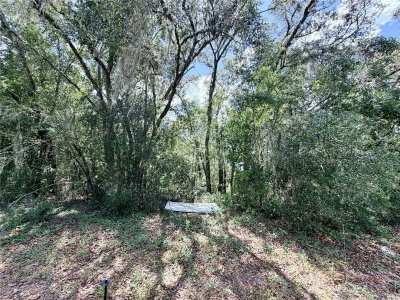 7932 ELKCAM Boulevard, Citrus Springs, FL, 34433 — photo 2