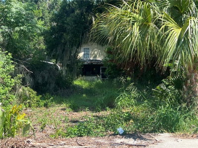 2979 GROVE Street, Eustis, FL, 32726 — photo 2