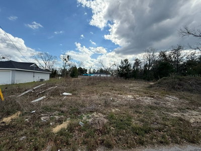 41 FISHER LANE Track, Ocklawaha, FL, 32179 — photo 2