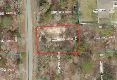 19 FISHER LANE Track, Ocklawaha, FL, 32179 — photo 2