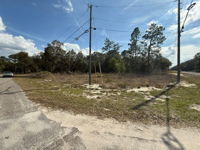 11745 ORANGE Road, Ocklawaha, FL, 32179 — photo 2