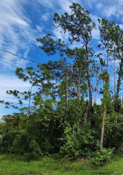 APOLLO Avenue, North Port, FL, 34286 — photo 2