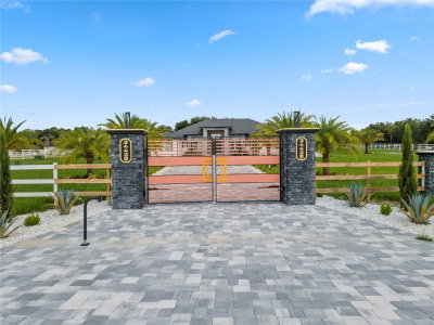 34435 DONNA VISTA Place, Eustis, FL, 32736 — photo 2