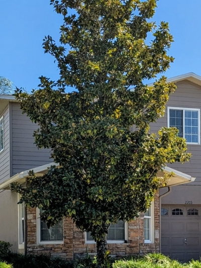 2203 CHATHAM Place, Orlando, FL, 32824 — photo 2