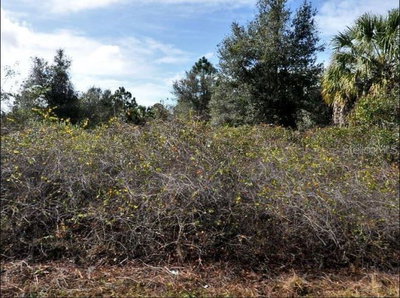 NEWMAN Drive, North Port, FL, 34288 — photo 2