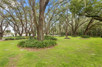 144 TILDENVILLE SCHOOL Road, Winter Garden, FL, 34787 — photo 2