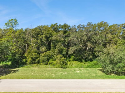 GRASS ROOTS Road, Groveland, FL, 34736 — photo 2