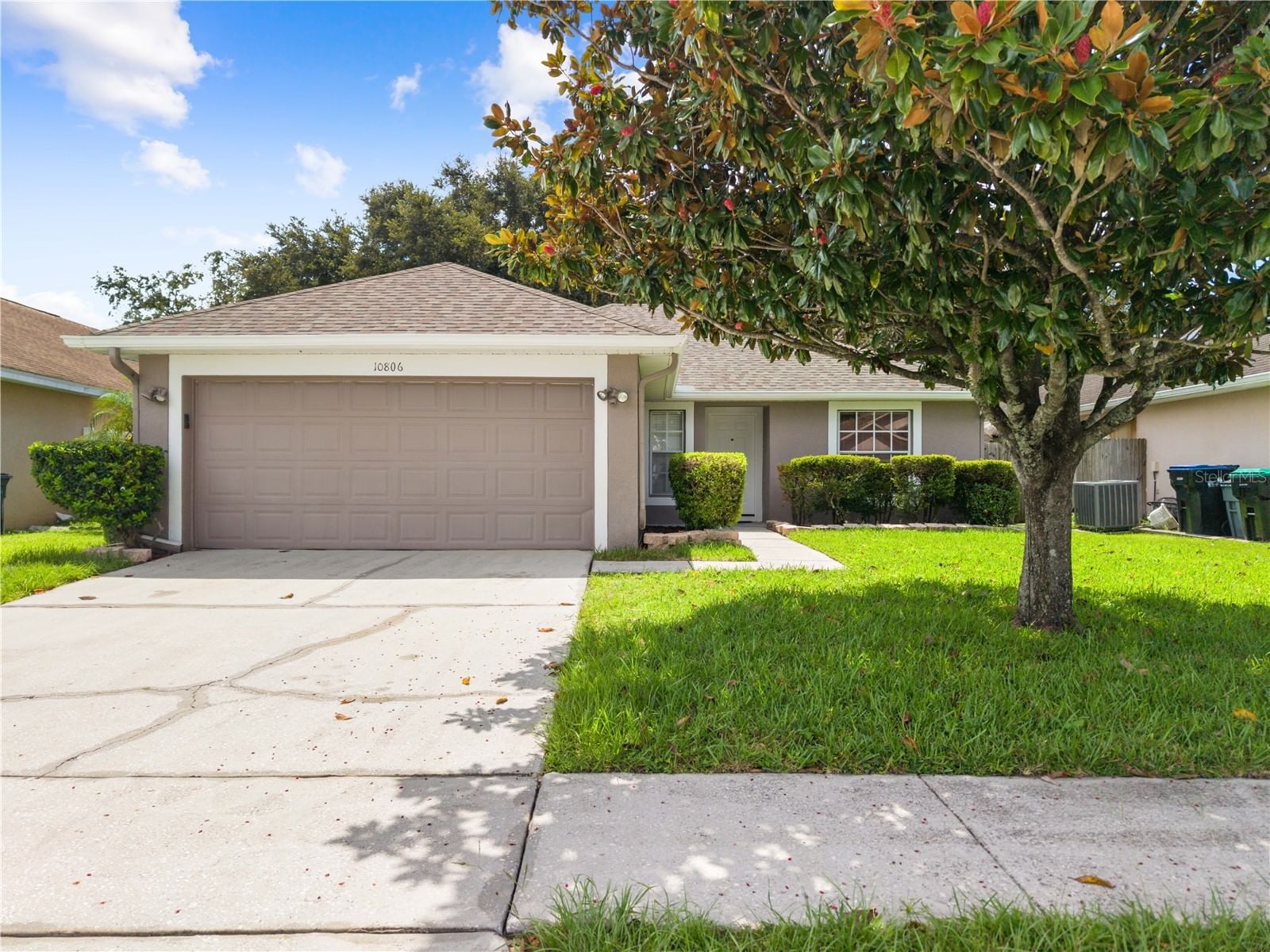10806 BROWN TROUT Circle