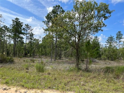 2105-2107 MAIN Street, Hawthorne, FL, 32640 — photo 2