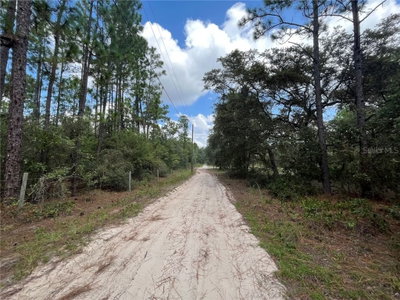 SLEEPY Point, Melrose, FL, 32666 — photo 2
