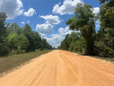 HOCKING Street, Alford, FL, 32420 — photo 2